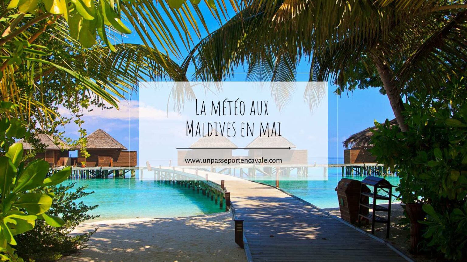 Quand partir aux Maldives ? Notre guide détaillé mois par mois — free download