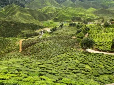 Malaisie - par région