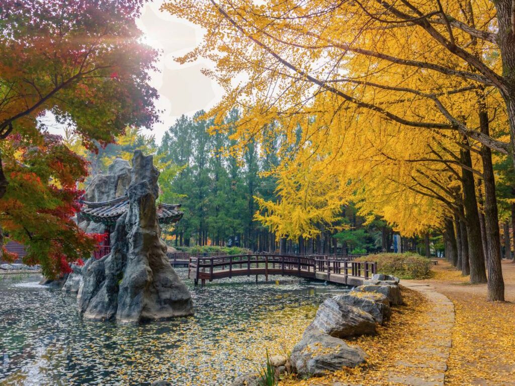 Les couleurs d'automne en Corée du sud