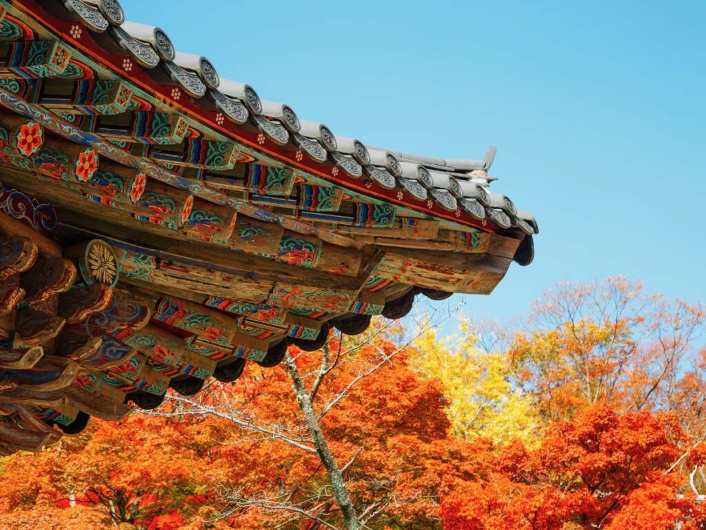 L'automne en Corée du Sud