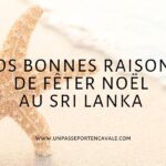 Les bonnes raisons de fêter Noël au Sri Lanka
