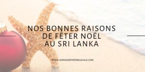 Les bonnes raisons de fêter Noël au Sri Lanka