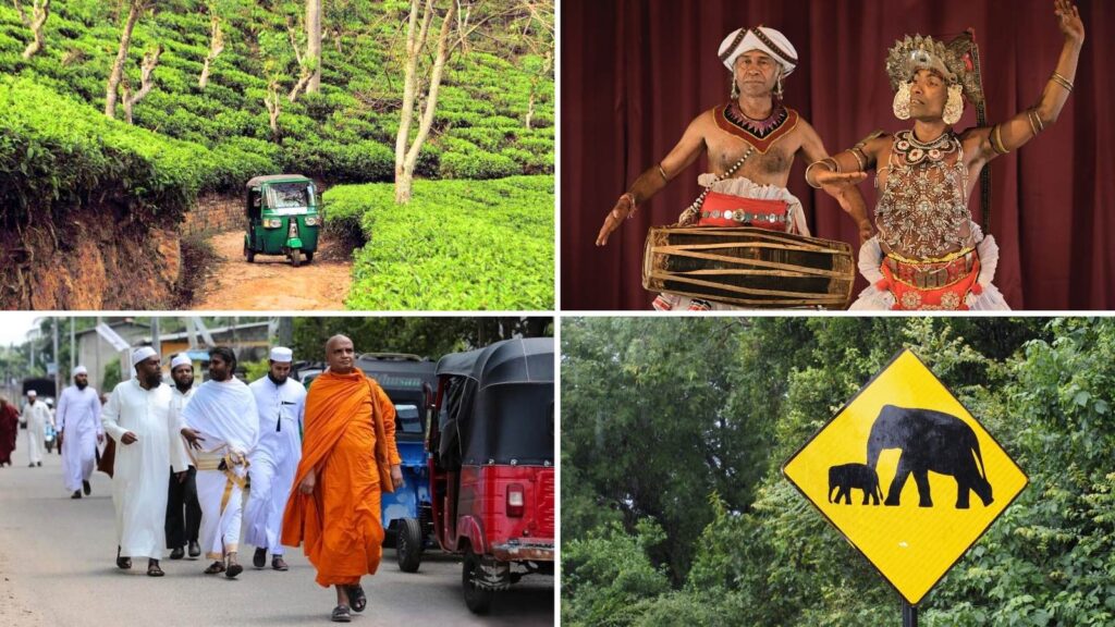 Découvrez la culture sri lankaise