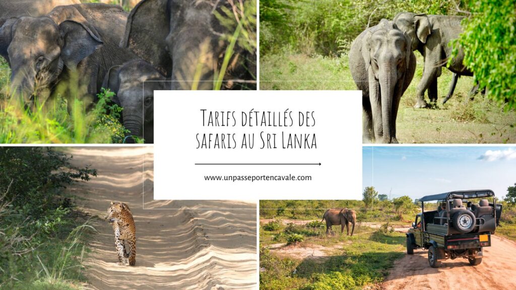Quel est le prix d'un safari au Sri Lanka ?