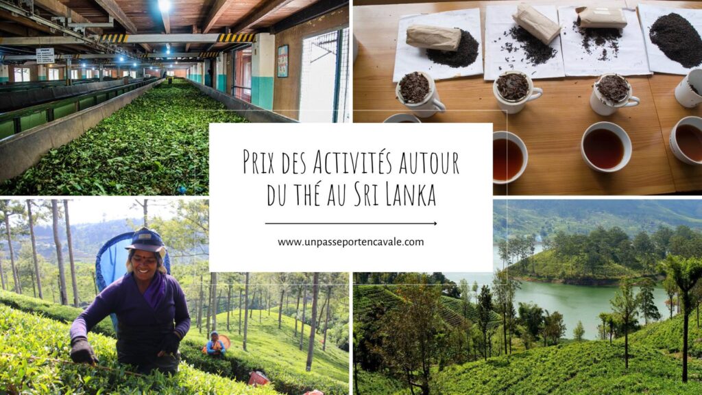 Tarifs des usines et des plantations de thé au Sri Lanka