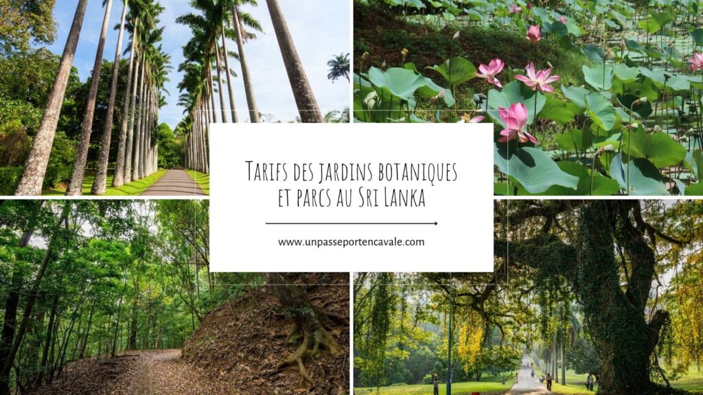 Tarifs des jardins botaniques au Sri Lanka