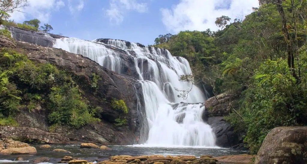 Le parc des Hortons Plains au Sri Lanka