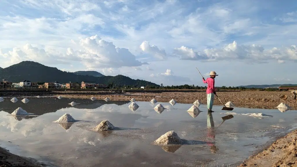 Les marais salants à Kampot au Cambodge
