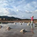 Les marais salants à Kampot au Cambodge